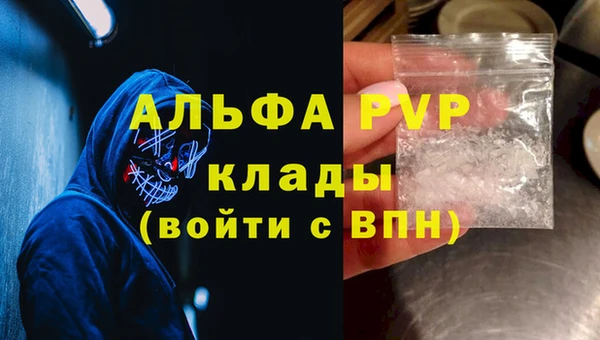 дмт Елизово